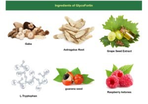 Glyco Fortin Review
